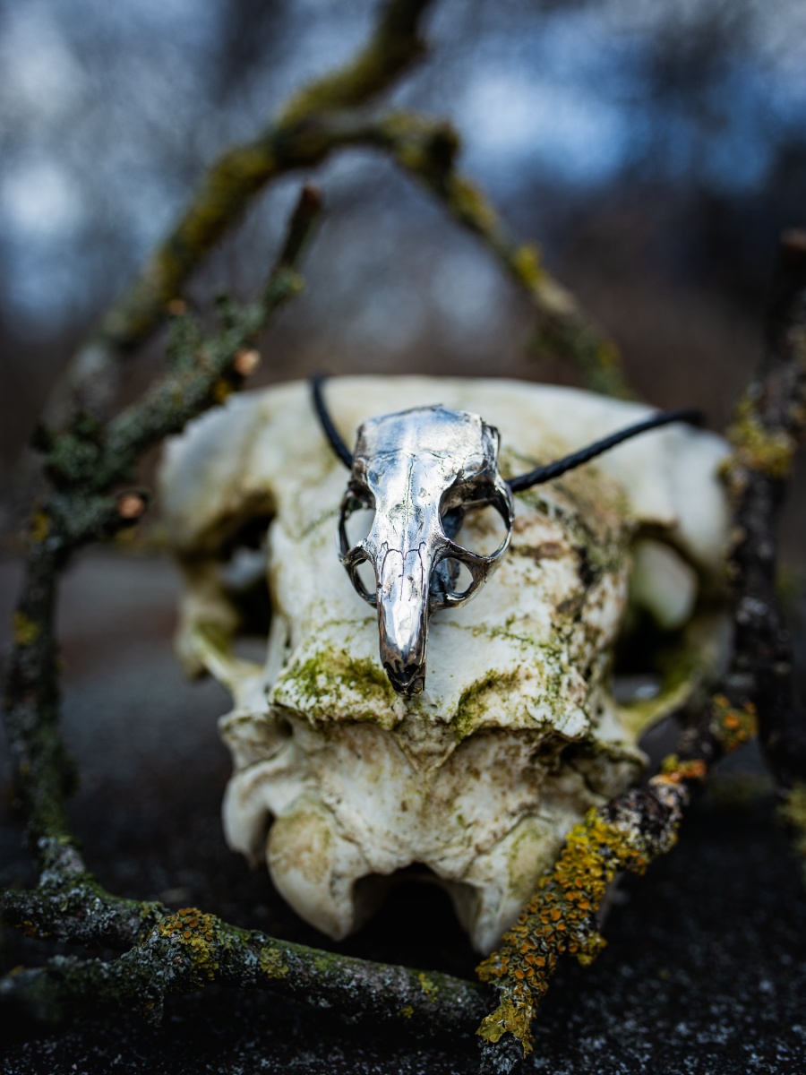 Ezüst La Loba csincsilla koponya nyaklánc koponyán, kékes háttérrel